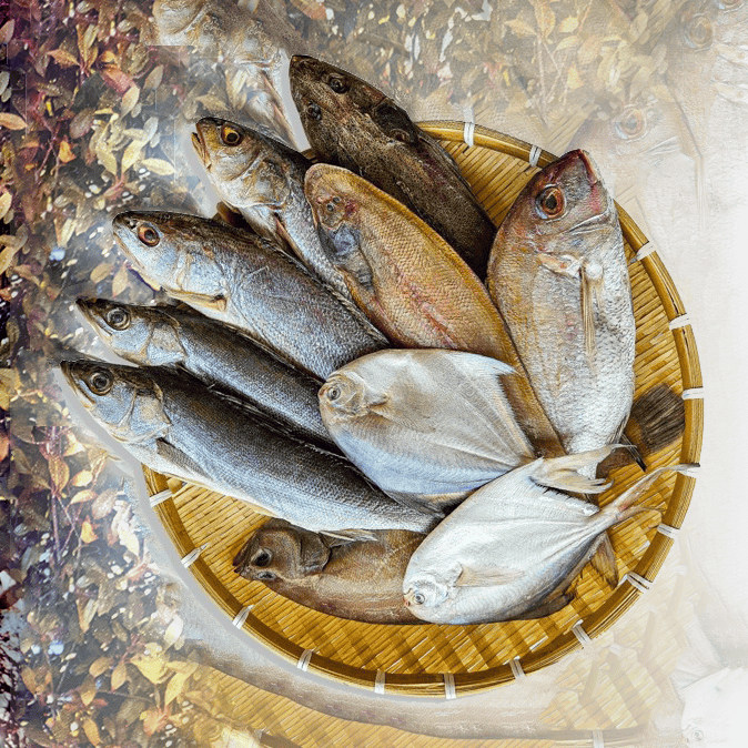 강진수산물 이미지 1